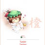 Touhou - Chen Chibi Journal Skin