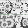 vector floral brushes1