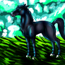 .:Black Stallion:.