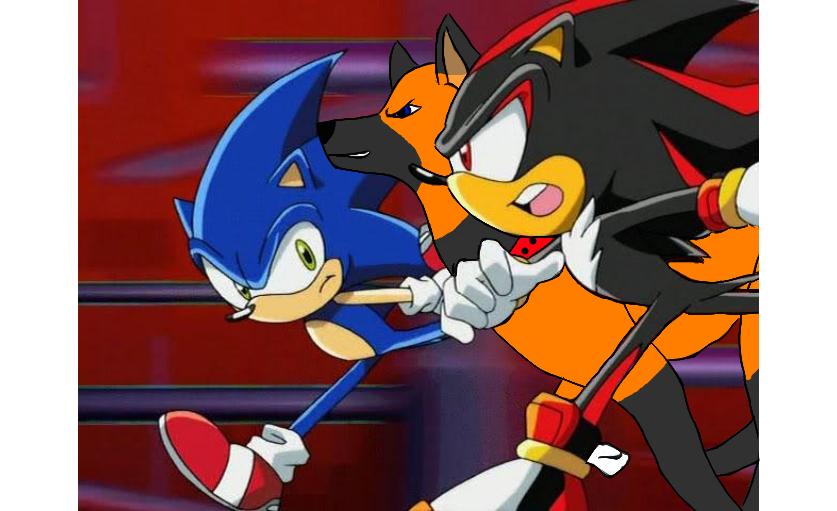 Sonic vs. Shadow Race(+ audience) quik art