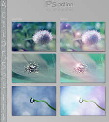 Action Set The Third