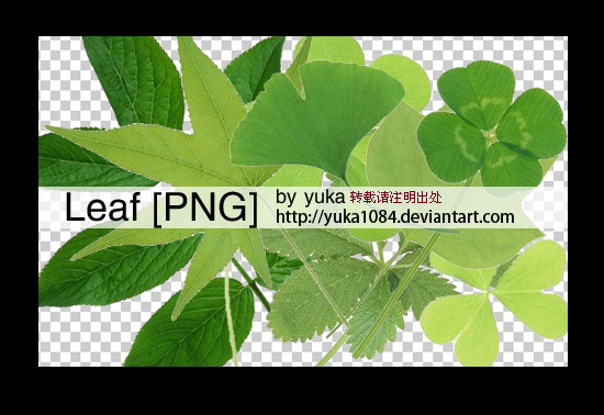 leaf png 2