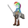 Wonderscout Rainbow Dash