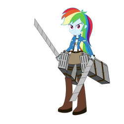 Wonderscout Rainbow Dash