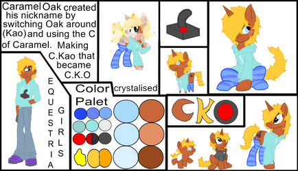 C.K.O 2015 by sim-phil