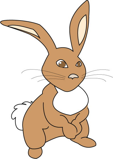 Bunny Animation