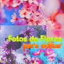 Fotos de Flores -Para Editar-