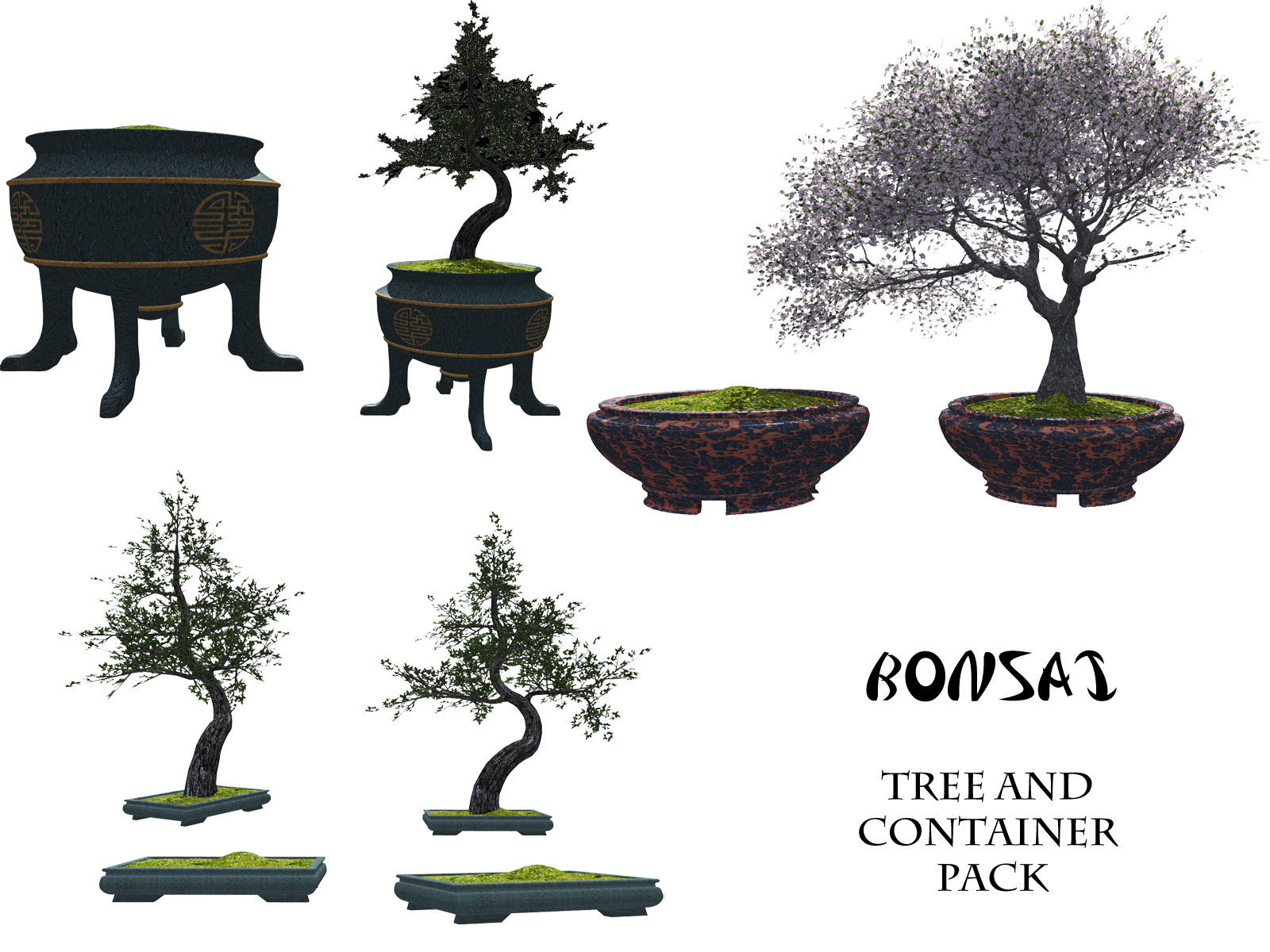 Bonsai tree and container pack