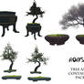Bonsai tree and container pack