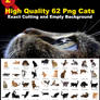 High Quality 62 Png Cats Stock