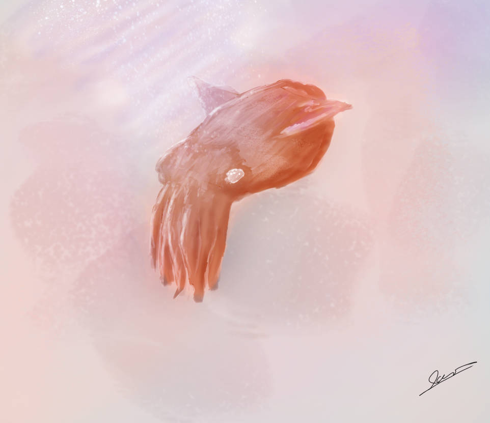 Squidling Squidling by ConnorAP on DeviantArt
