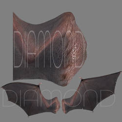 Realistic Demon Wings