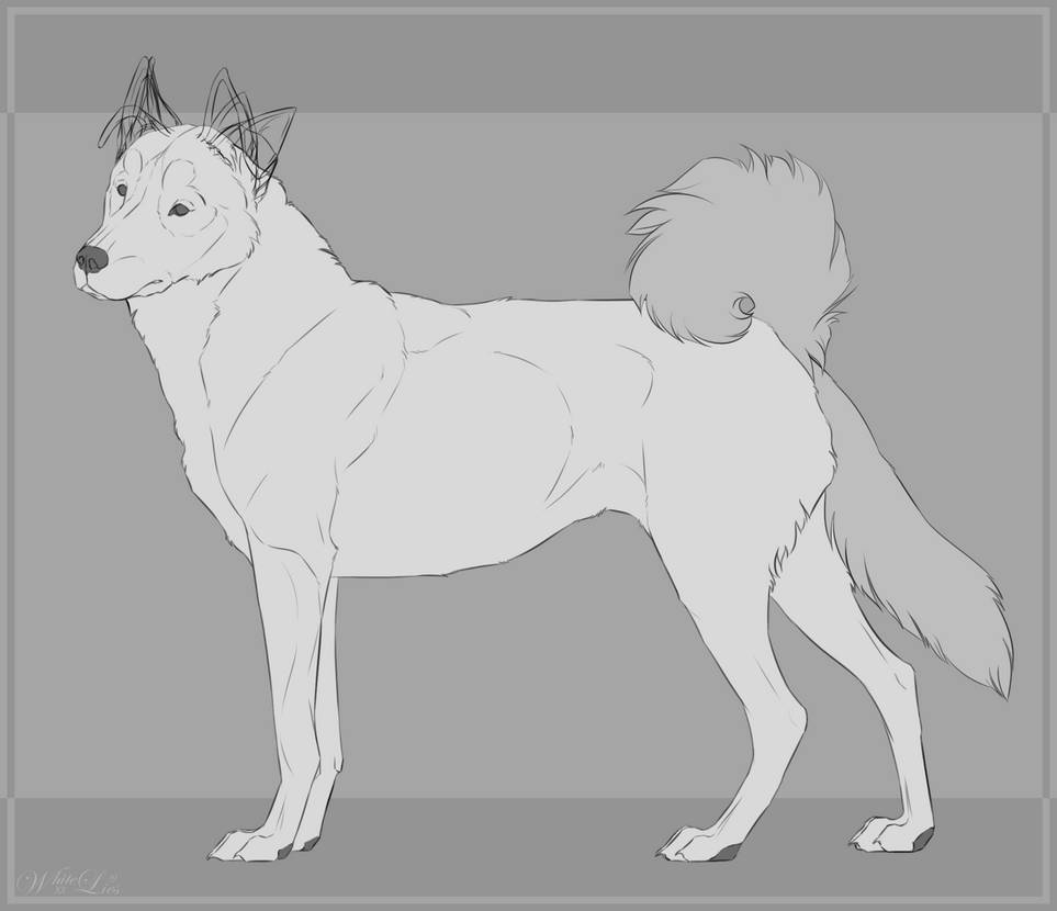 P2U/Canine lineart by WhiteLiesArt on DeviantArt