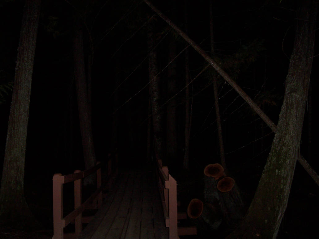 Fear - A Walk Through the Wood by SheepyBeepy on DeviantArt