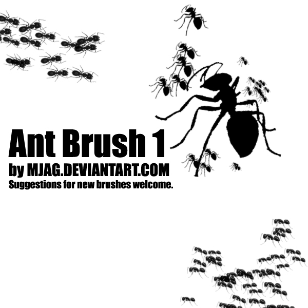 Brushes: ANT 1