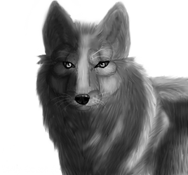 Lineart Templates On Unseen Wolf Artists Deviantart