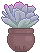 Perle Von Nurnberg