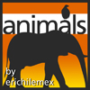 Animals - Pack 1