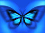 butterfly_blue