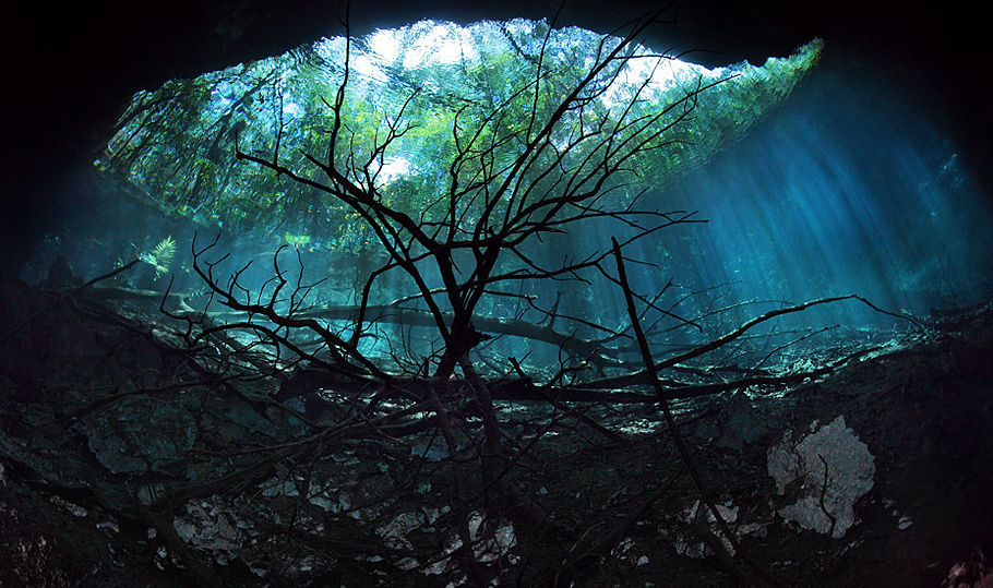река анхелита. сенот ангелита. сенот ангелита мексика. река сенот ангелита. река на дне океана.