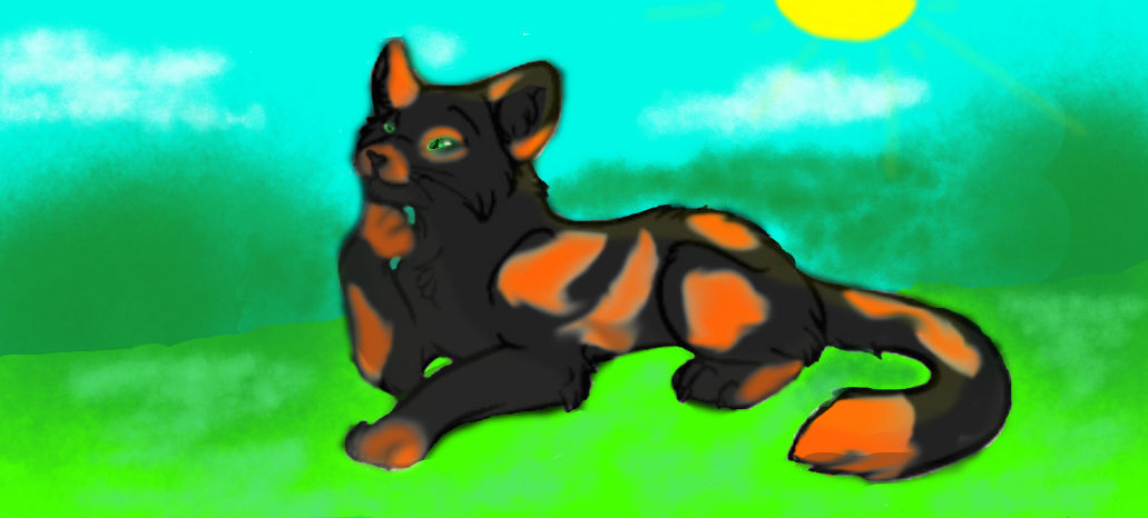 Embersplash 'Gift' by Hazelfeather37 on DeviantArt