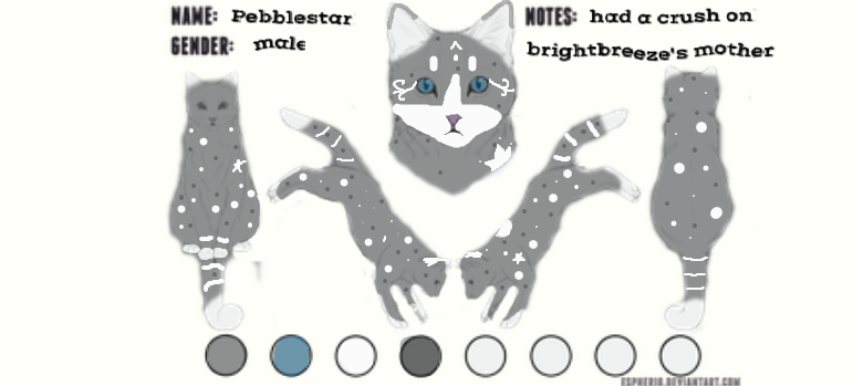 Pebblestar ref by Hazelfeather37 on DeviantArt