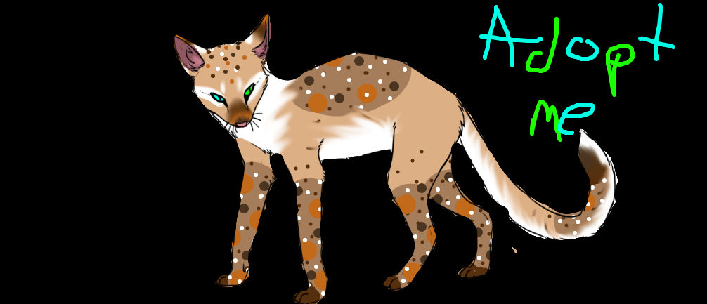 Auctio adopt(1 point start off) by Hazelfeather37 on DeviantArt