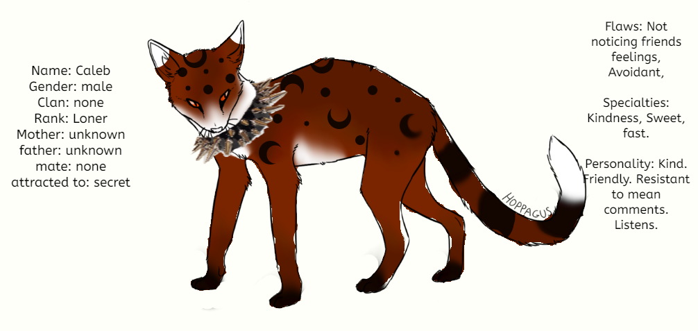 Caleb ref by Hazelfeather37 on DeviantArt