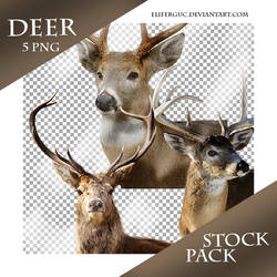 Deer - Stock Png Pack (2)