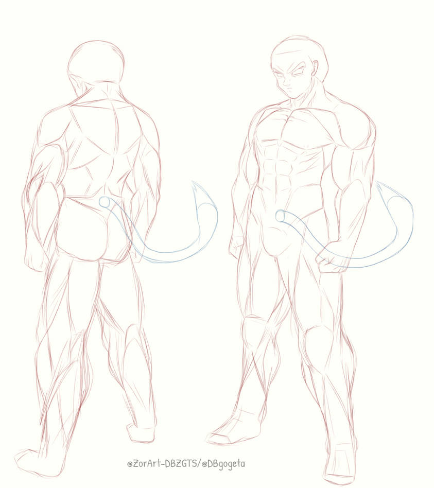 Male Drawing Reference By Zorart Dbzgts On Deviantart