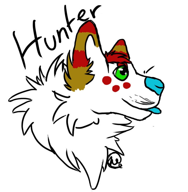 Hunter by tigerchick99 on DeviantArt