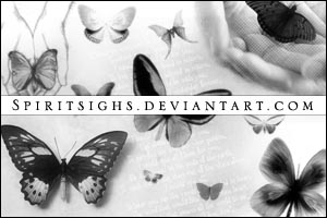 Butterflies