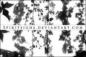 Foliage 2 by spiritsighs-stock on DeviantArt