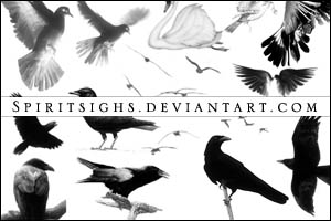 Birds 2 Image Stamps