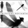 Dragonflies Image Stamps