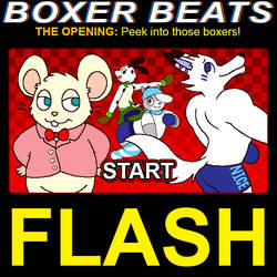 Boxer Beats: The Opening!