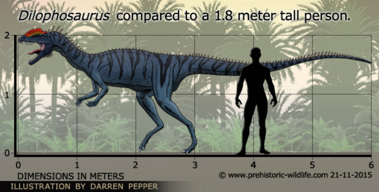 Dilophosaurus size by Frylock921 on DeviantArt