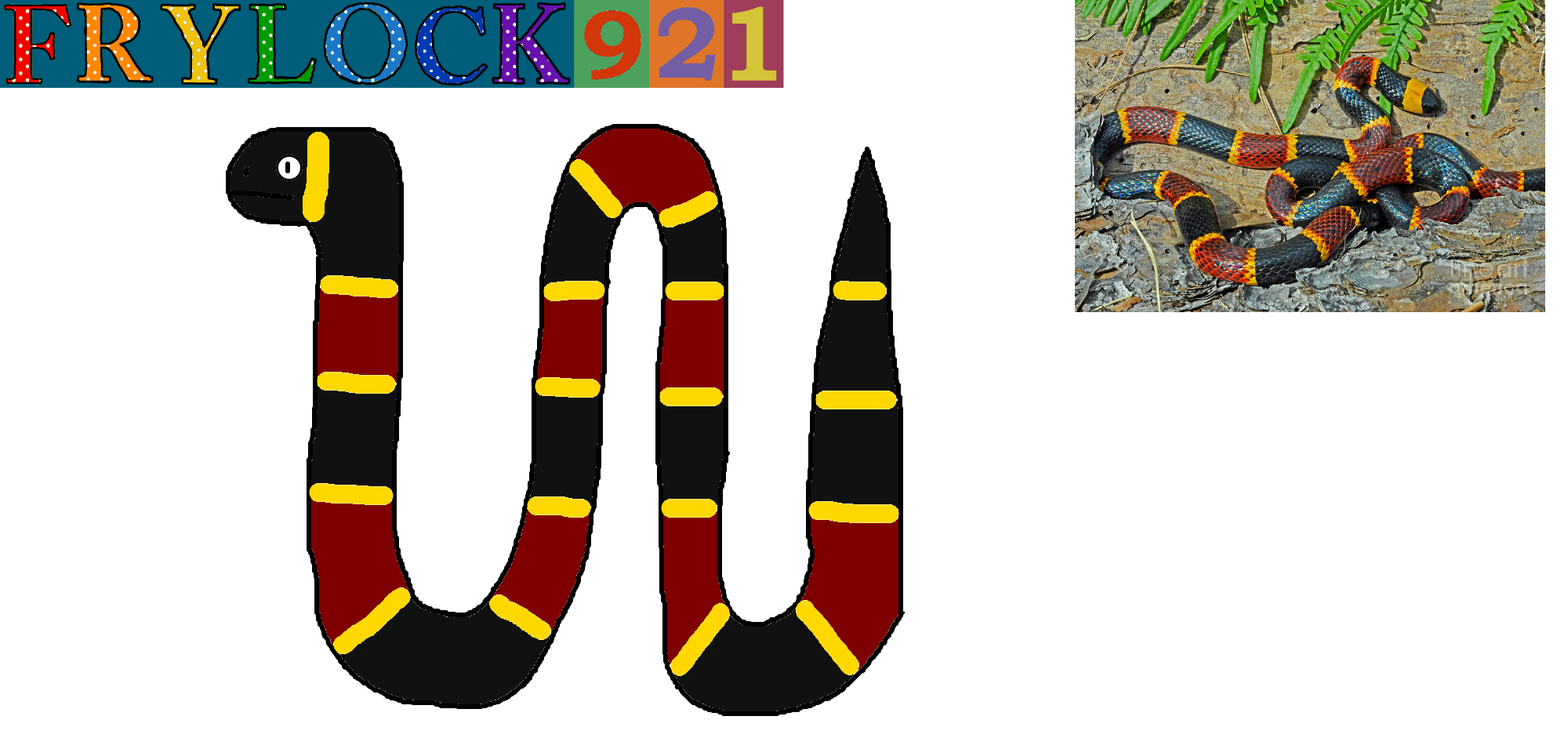 Eastern Coral Snake by Frylock921 on DeviantArt