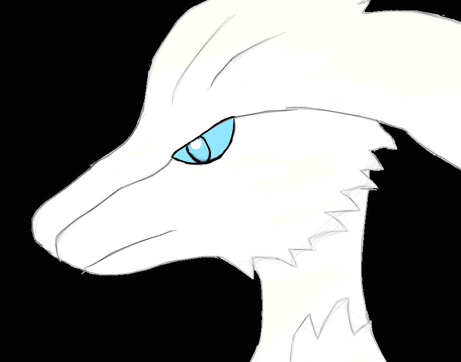 Reshiram Sketch by John-Guy on DeviantArt