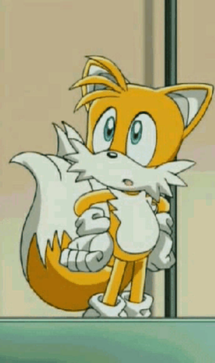 Tails in Sonic X GIF 11, Episode 8 (HQ) by TailsModernStyle on DeviantArt