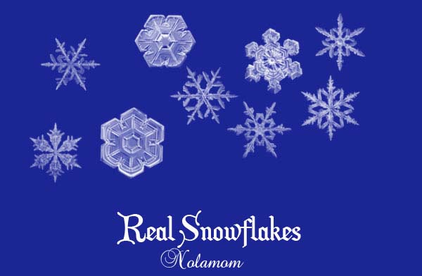 Real Snowflakes