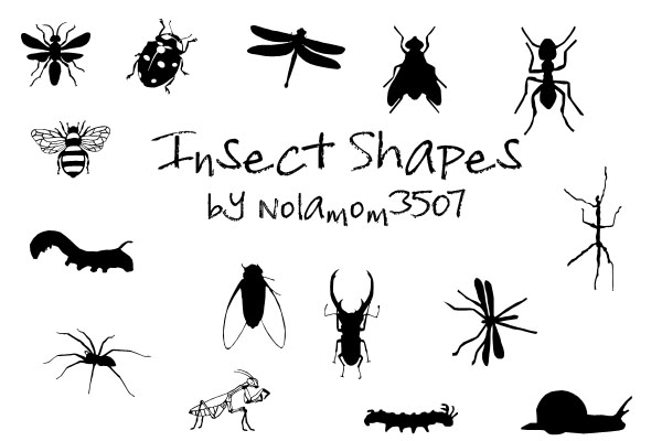 Insect Shapes by Nolamom3507