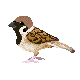 Eurasian Tree Sparrow Pixel Art