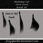 Horse Mane and Tail Brushes by fizzysparkle