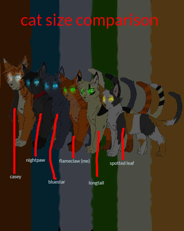 cat size comparison by wolfpacklover4 on DeviantArt