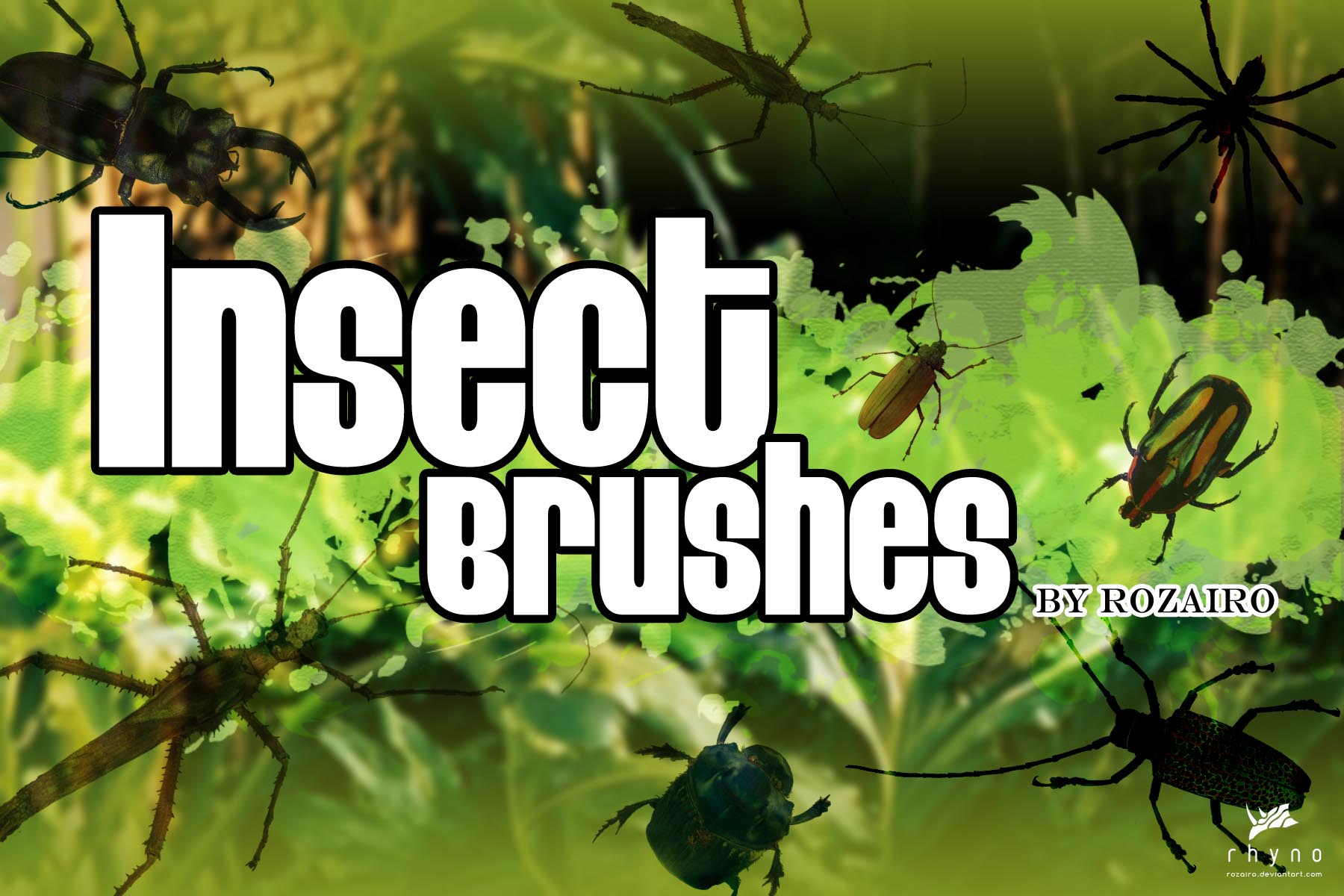 Insect Brushes