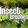 Insect Brushes