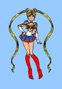 Sailor Scout Dress-up