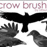 Crow Brushes I