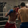 Boxers Sparring 1